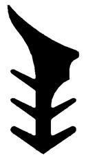 KS - G233 14,3×6,9 мм - Профили для остекления